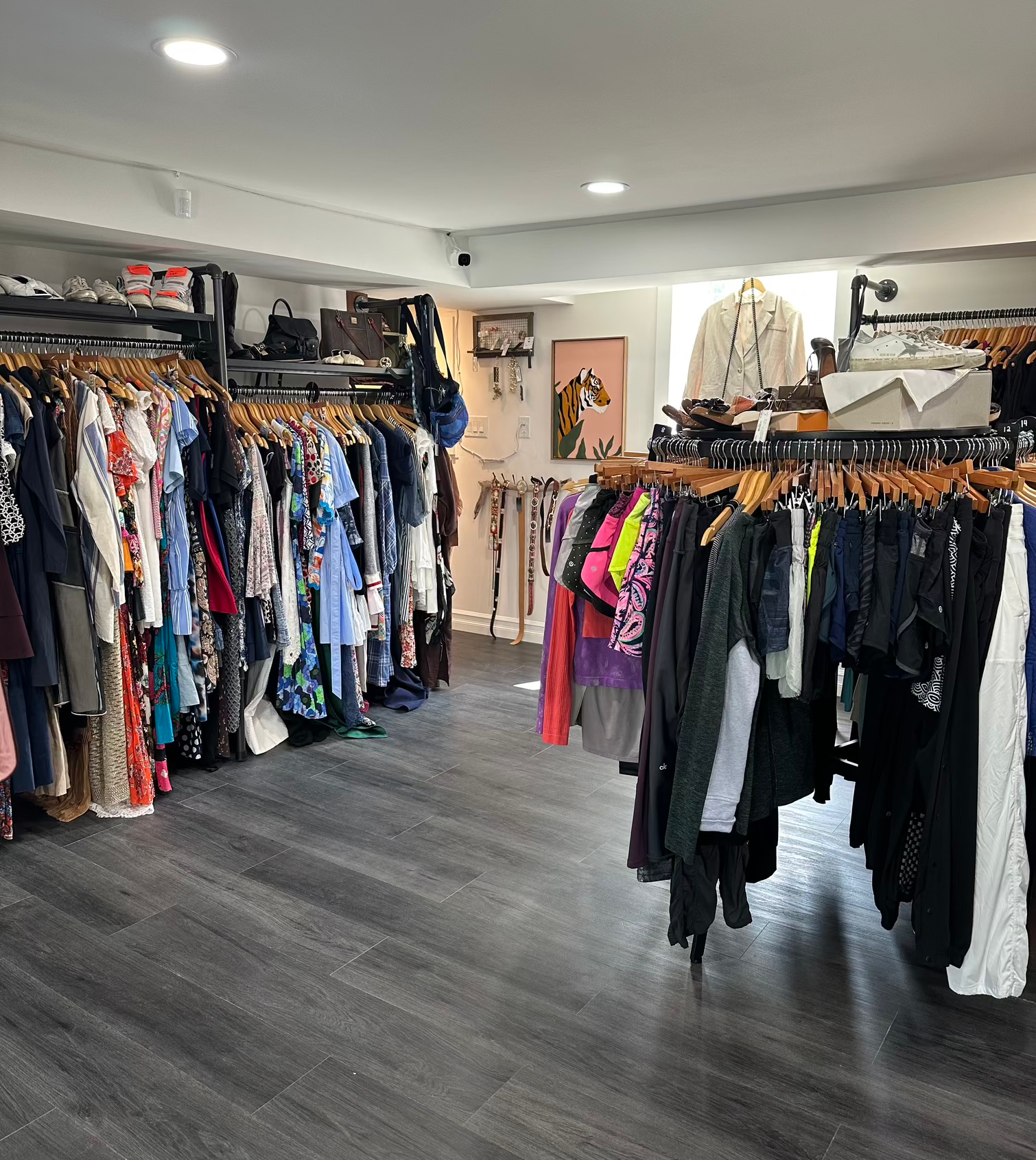 store-interior-2.webp